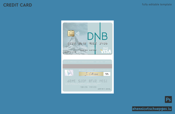 Beispielvorschau der DNB Bank Visa Debitkarte aus Litauen